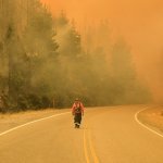 Un bombero camina por una carretera mientras los incendios forestales arden en El Hoyo, Patagonia, Argentina, el jueves 8 de enero de 2026. Foto: AP/Maxi Jonas.