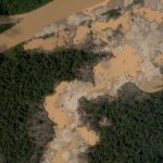 reciente expansión de la minería ilegal de oro en la Reserva Nacional Tambopata. Fotos: ACCA, Planet