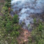 Un total de 23 incendios se encuentran activos este domingo y la mayoría afecta áreas protegidas en Petén, según reportes oficiales. Foto: La Hora/Conred.