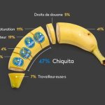 Fuentes: Rebelión [Imagen: Gráfico de Fabian Lang de Public Eye indicando los porcentajes de ganancia en la producción bananera. Los trabajdores solo el 7% en tanto Chiquita el 47%]