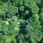 Malocas de pueblos indígenas en aislamiento en la Amazonía. Foto: cortesía ORPIO