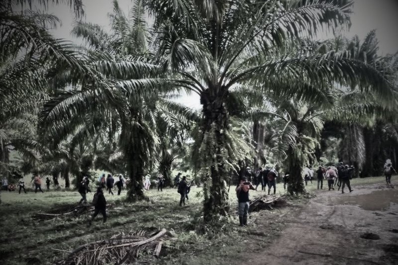 Foto: Central Nacional de Trabajadores del Campo (CNTC)