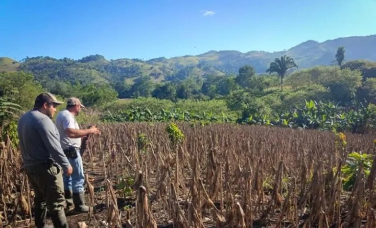 El fenómeno de El Niño se perfila con una intensidad extrema: Estos podrían ser sus efectos