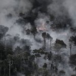 Quemas por deforestación y manejo de pastizales serían las principales causas de los incendios forestales. Foto: Daniel Beltrá / Greenpeace