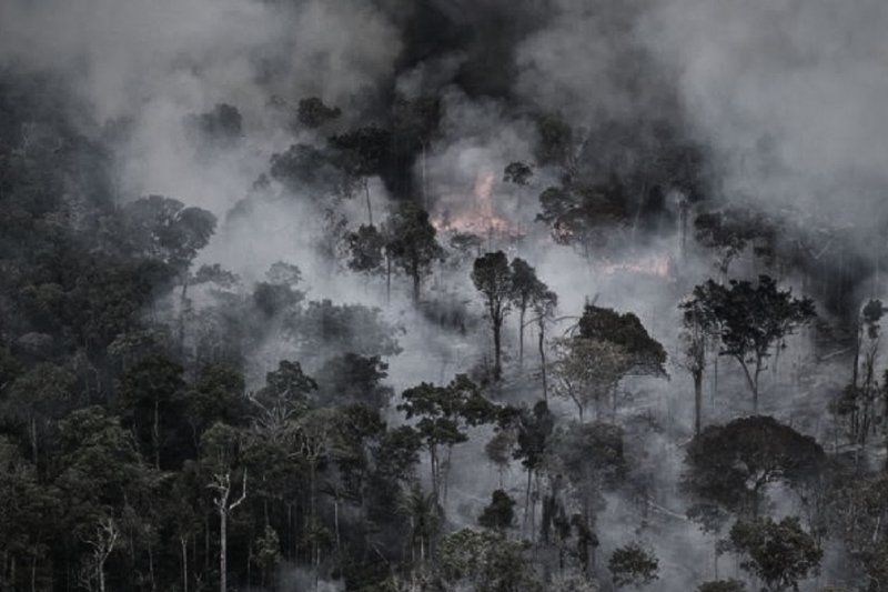 Quemas por deforestación y manejo de pastizales serían las principales causas de los incendios forestales. Foto: Daniel Beltrá / Greenpeace