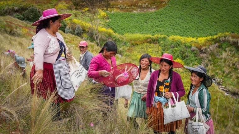 Mujeres indígenas contra la crisis ambiental: así protegen tortugas, jaguares, bosques y fuentes de agua en América Latina