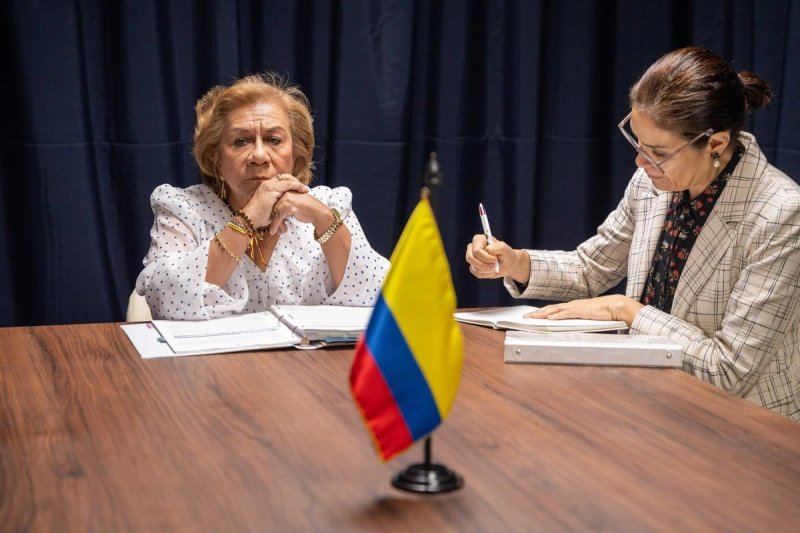 La ministra, Rosa Villavicencio, advirtió de que el "unilateralismo" y la injerencia de "poderes extranjeros" sobre otros países, particularmente en el continente americano, socavan "la democracia y los principios de coexistencia que fueron conquistados por los procesos de descolonización". Foto: @CancilleriaCol