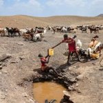 Una joven saca agua para su rebaño de cabras de un pozo cavado en un charco seco en la aldea de Lopii, en Turkana Este, en Kenia, en una imagen de archivo de febrero pasado. EFE/EPA/DANIEL IRUNGU