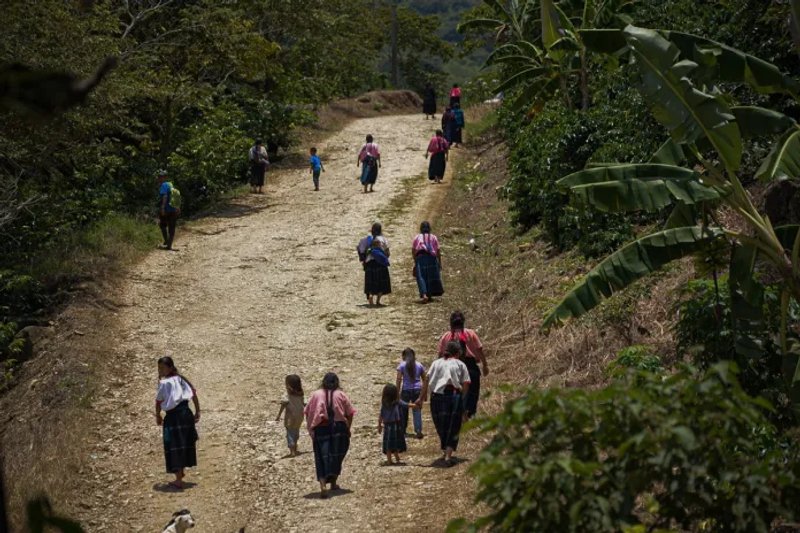 Archivo de vista de indígenas desplazados en las montañas del estado de Chiapas (México). Foto La Hora: EFE