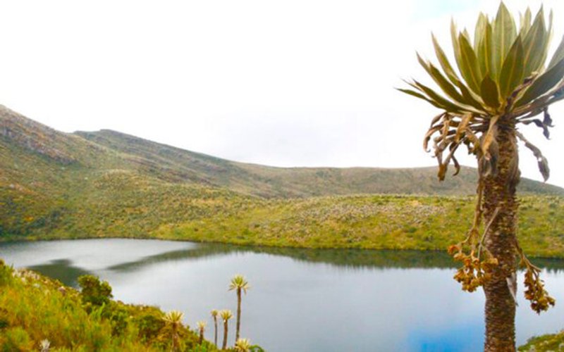 Fuentes: Climática [Foto: Páramo de Chingaza. Parques Nacionales Naturales de Colombia]