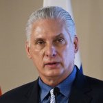 El presidente de Cuba, Miguel Díaz-Canel Vladimir Viatkyn / Sputnik