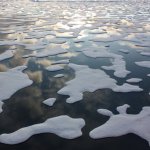 Fuentes: CTXT [Foto: Hielo y agua en el Océano Ártico. / NASA, Kathryn Hansen]