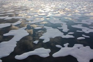 Cambio climático – Tsunami de calor